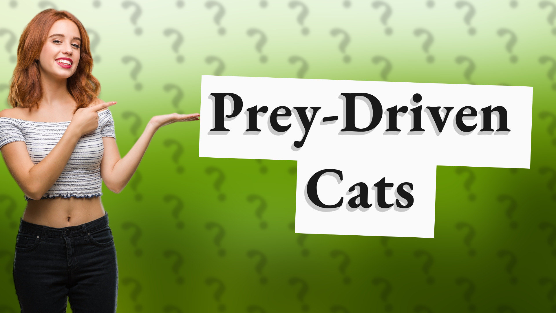 Prey-Driven Cats