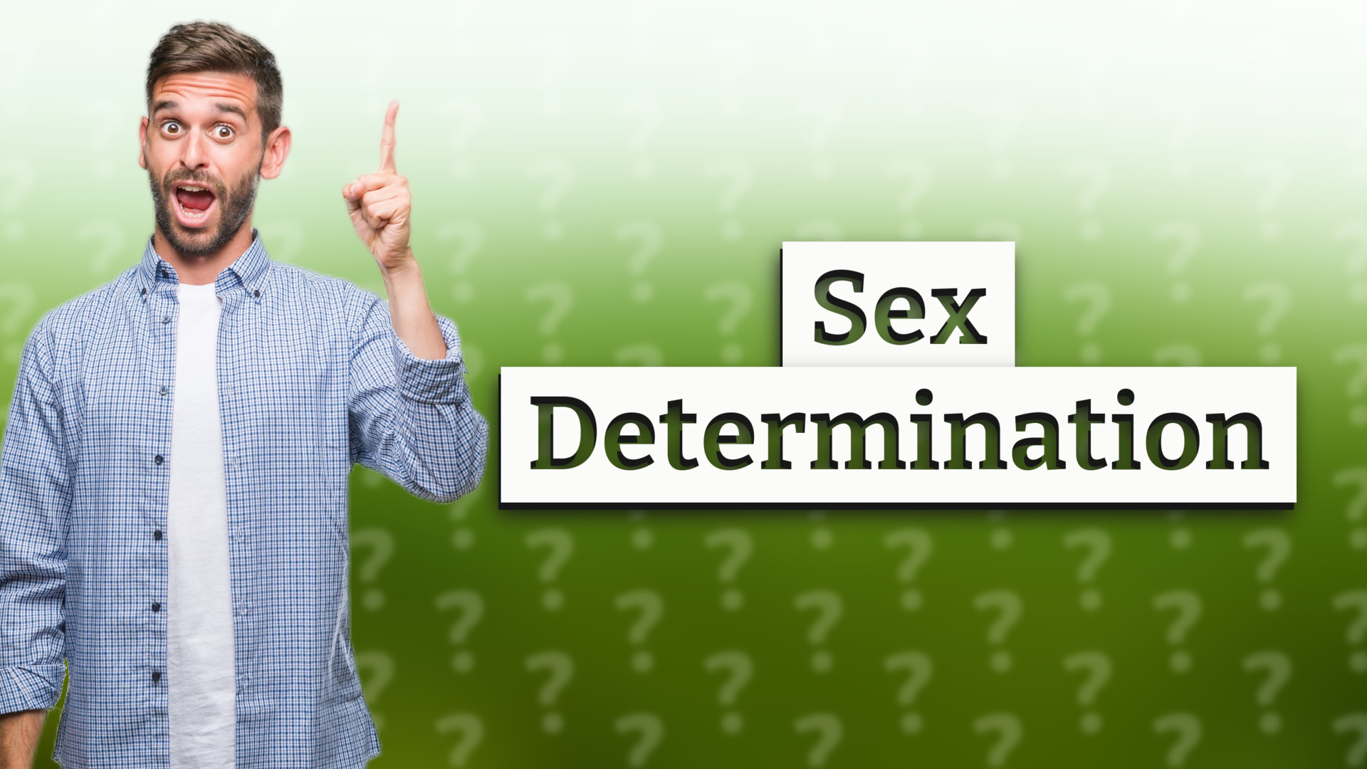 Sex Determination