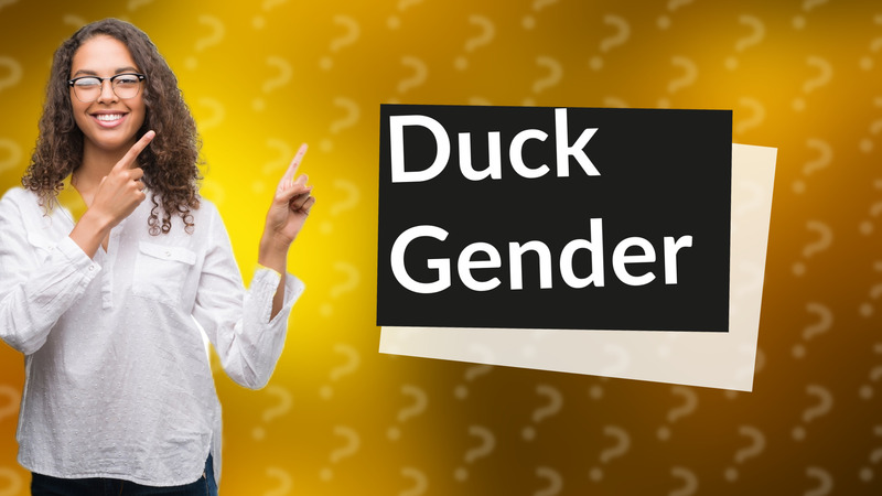 Duck Gender