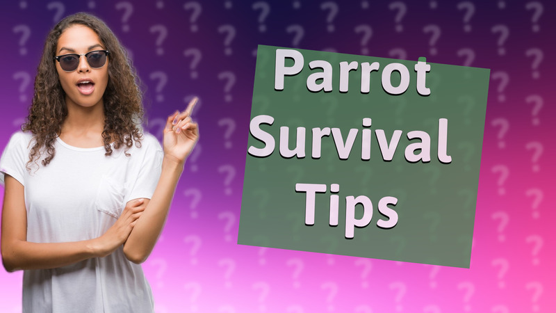 Parrot Survival Tips