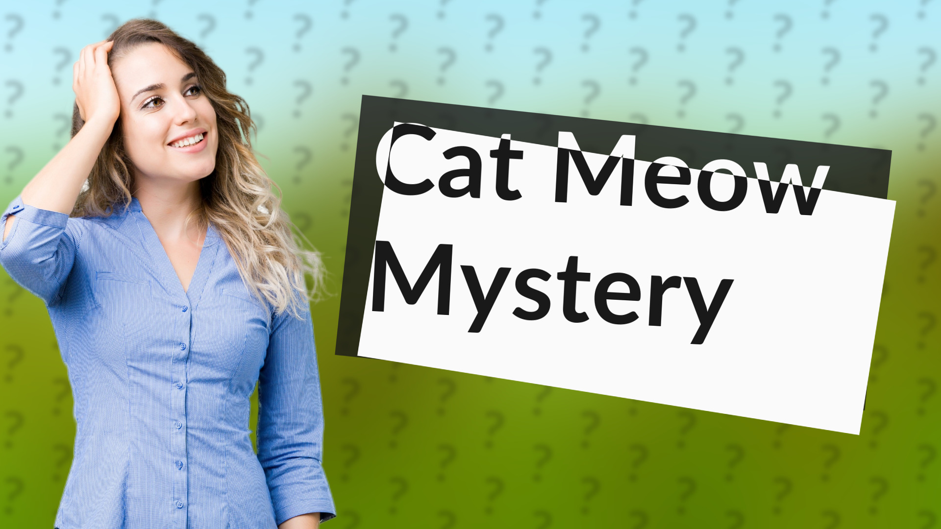 Cat Meow Mystery