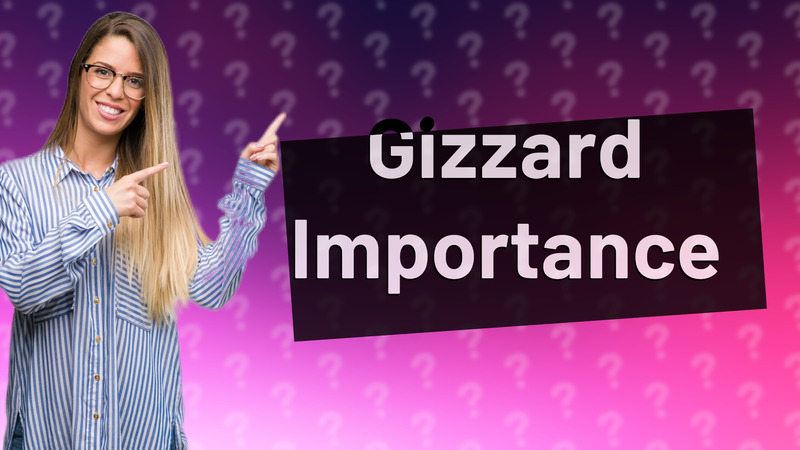 Gizzard Importance