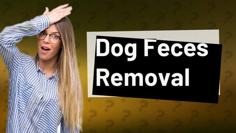 Dog Feces Removal