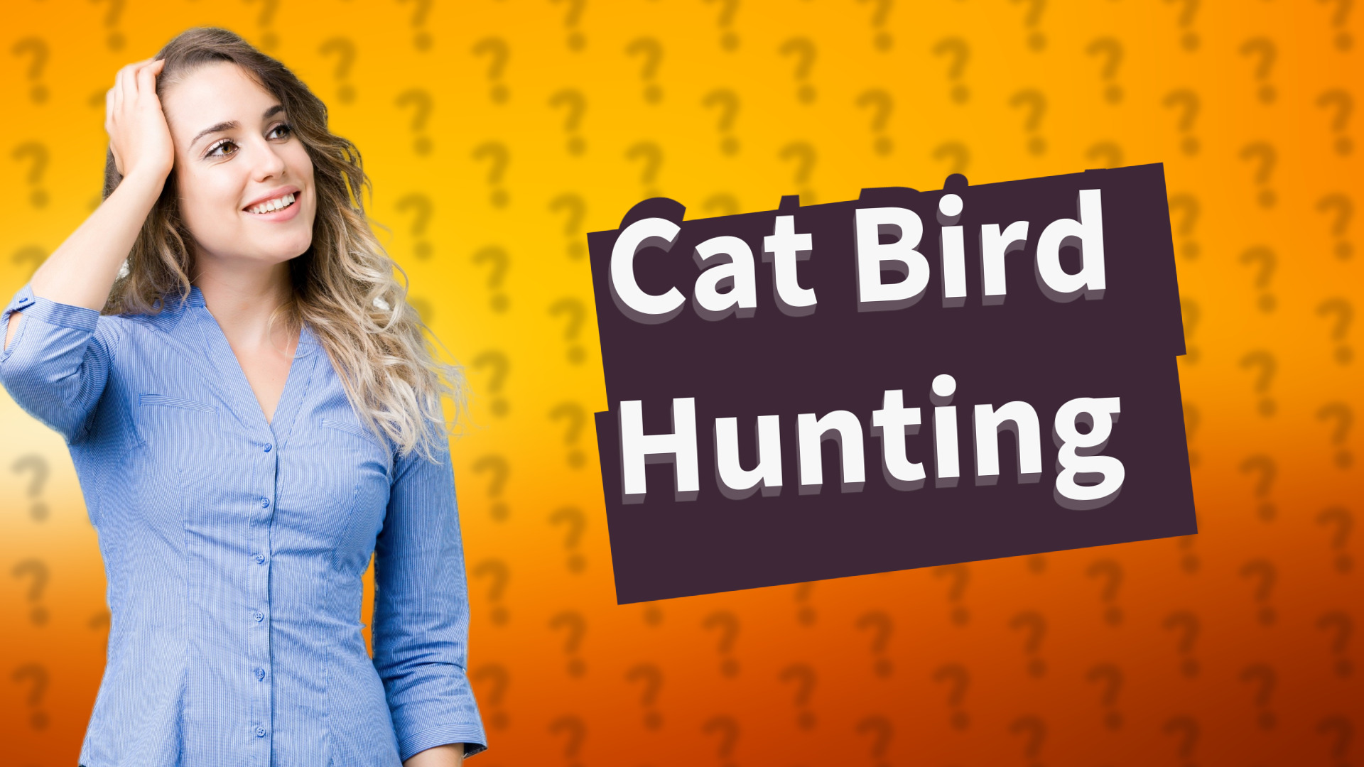 Cat Bird Hunting