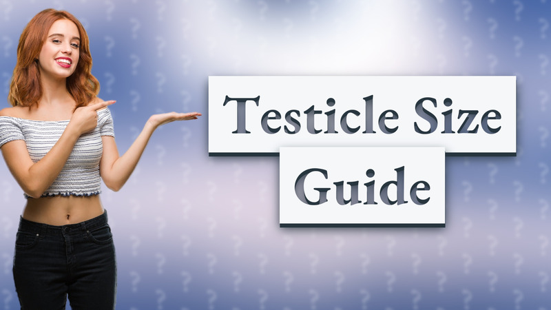 Testicle Size Guide