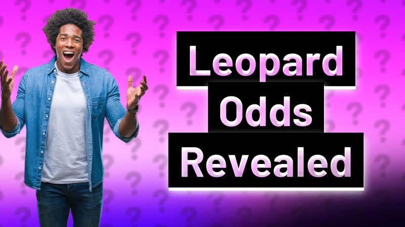 Leopard Odds Revealed