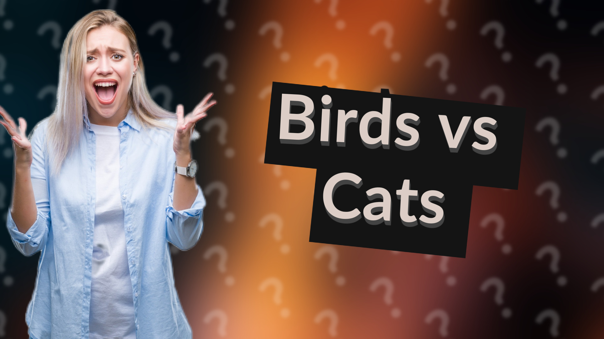 Birds vs Cats