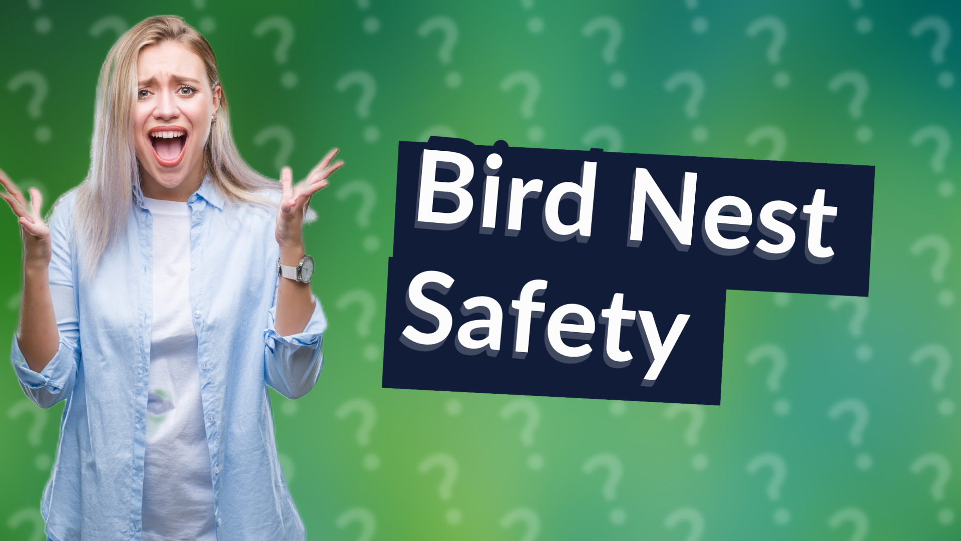 Bird Nest Safety