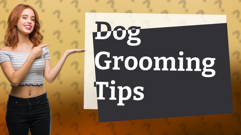 Dog Grooming Tips