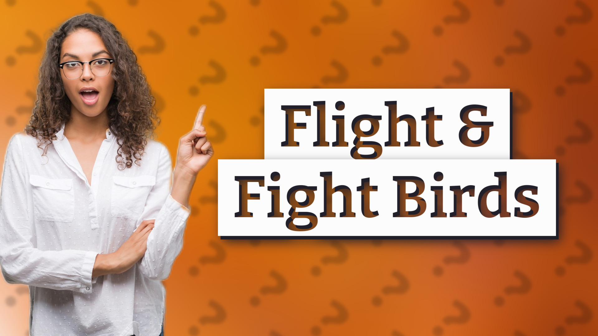 Flight & Fight Birds