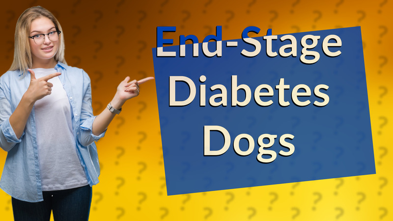 End-Stage Diabetes Dogs