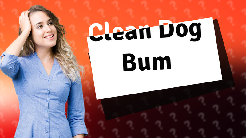 Clean Dog Bum