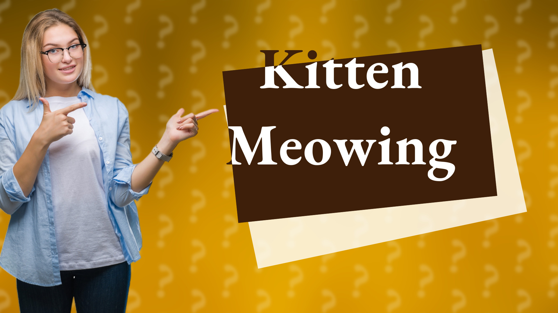 Kitten Meowing