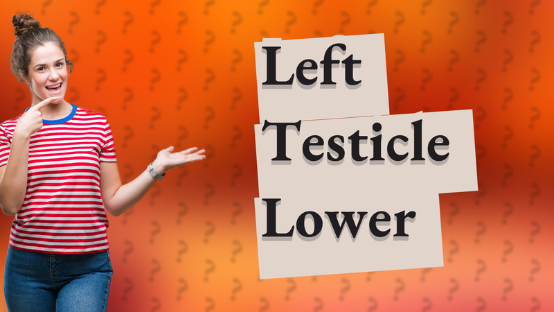 Left Testicle Lower