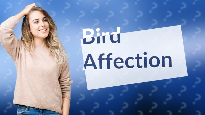 Bird Affection