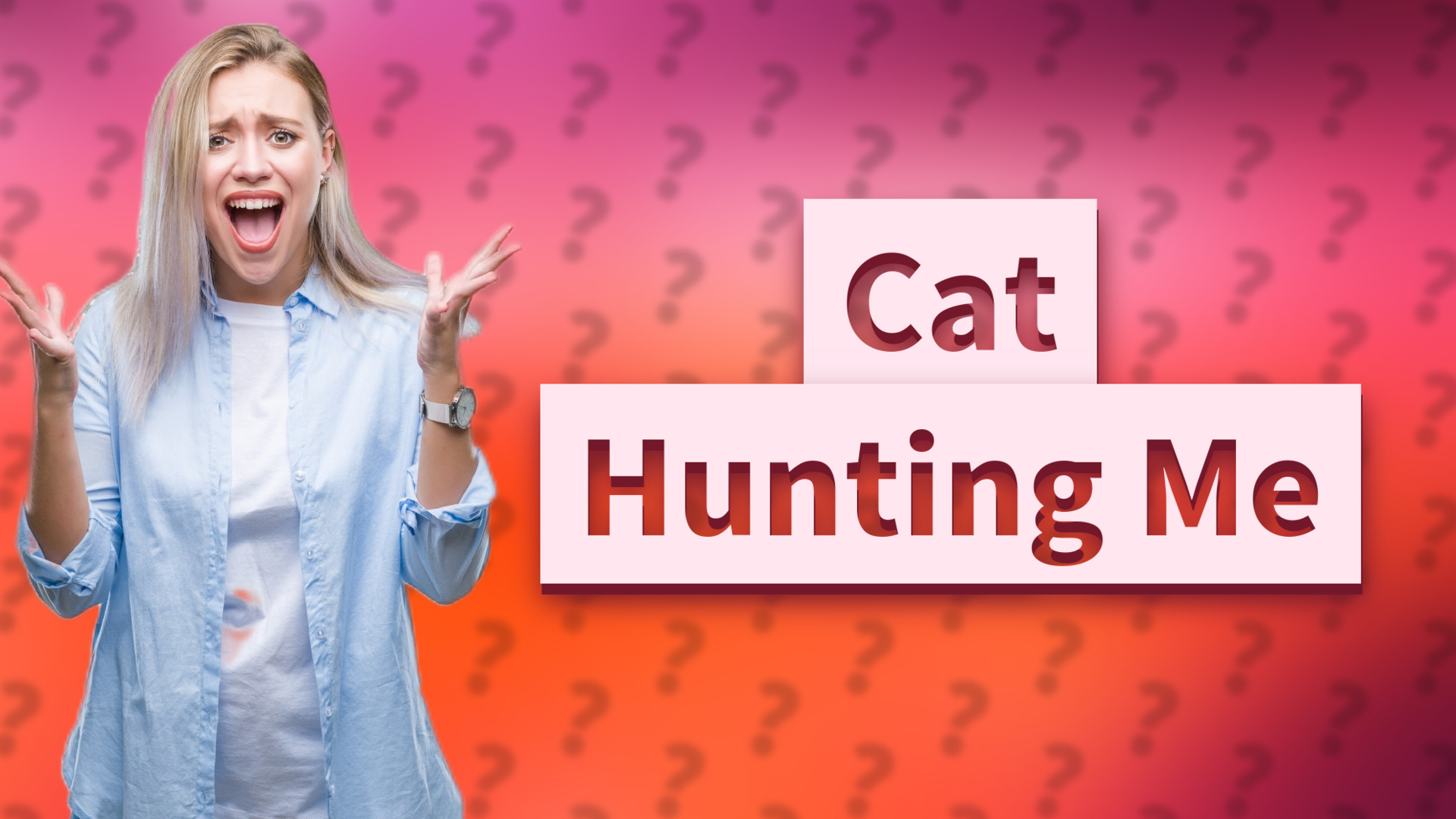 Cat Hunting Me
