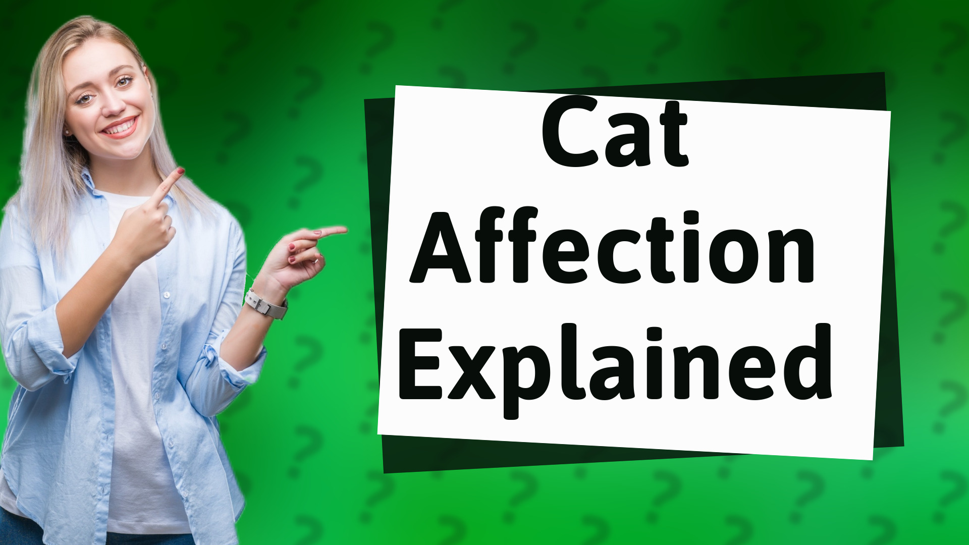 Cat Affection Explained