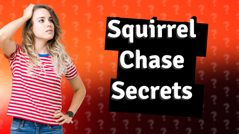 Squirrel Chase Secrets
