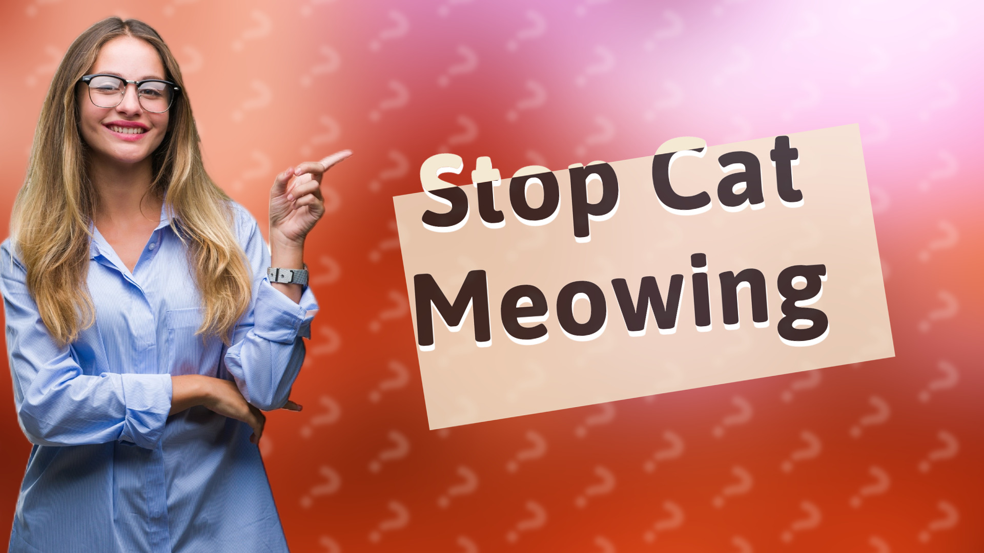 Stop Cat Meowing