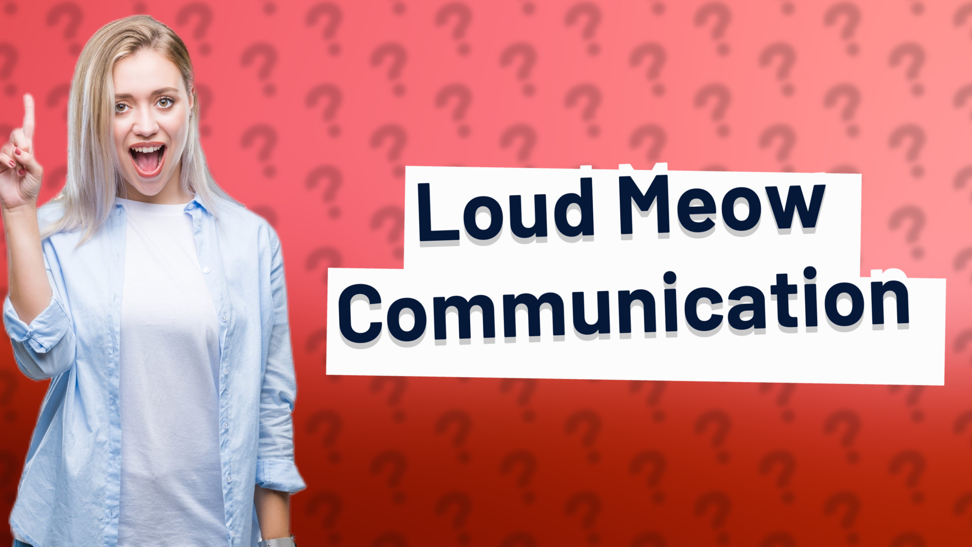 Loud Meow Communication