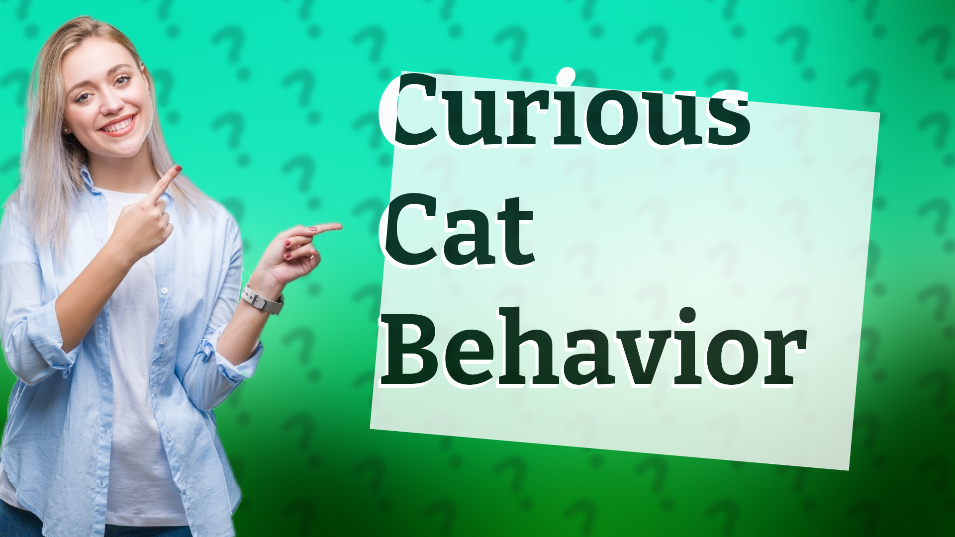 Curious Cat Behavior