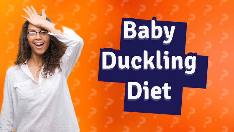 Baby Duckling Diet