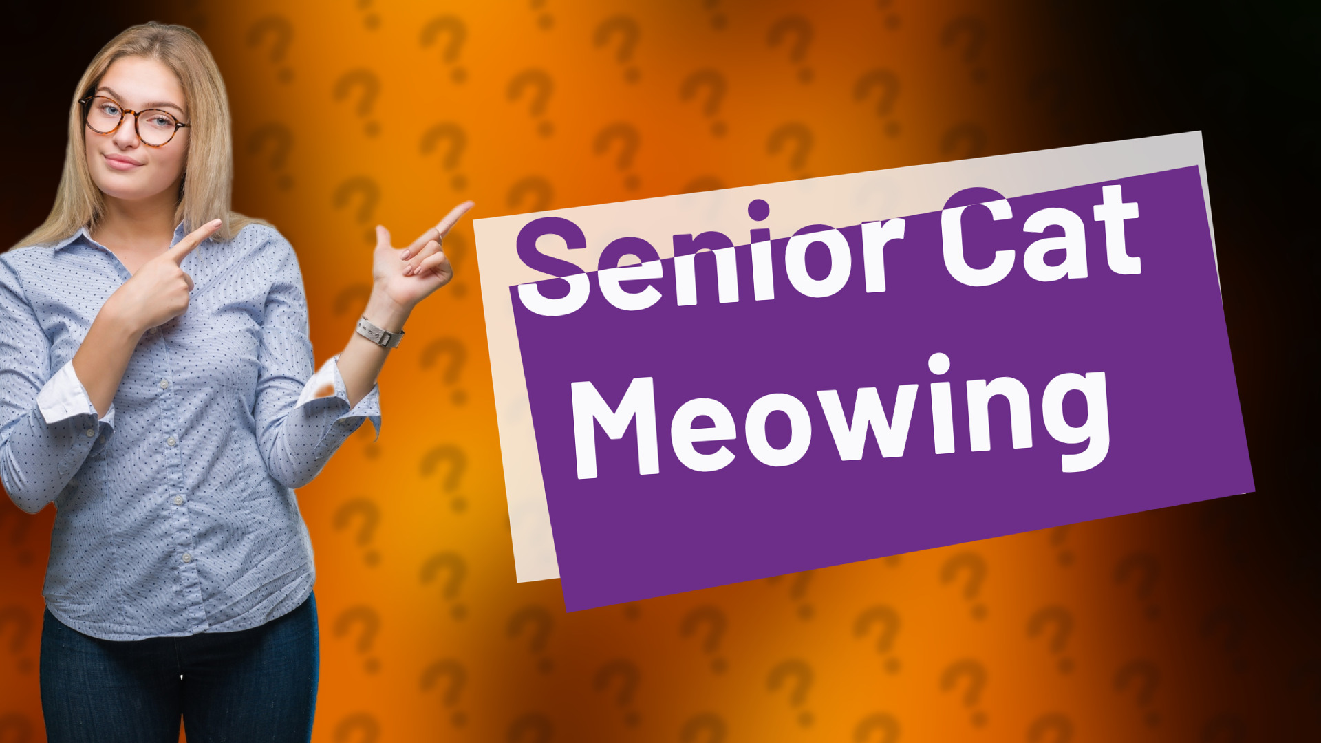 Senior Cat Meowing