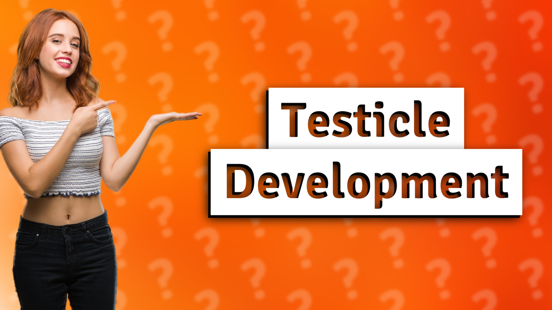 Testicle Development