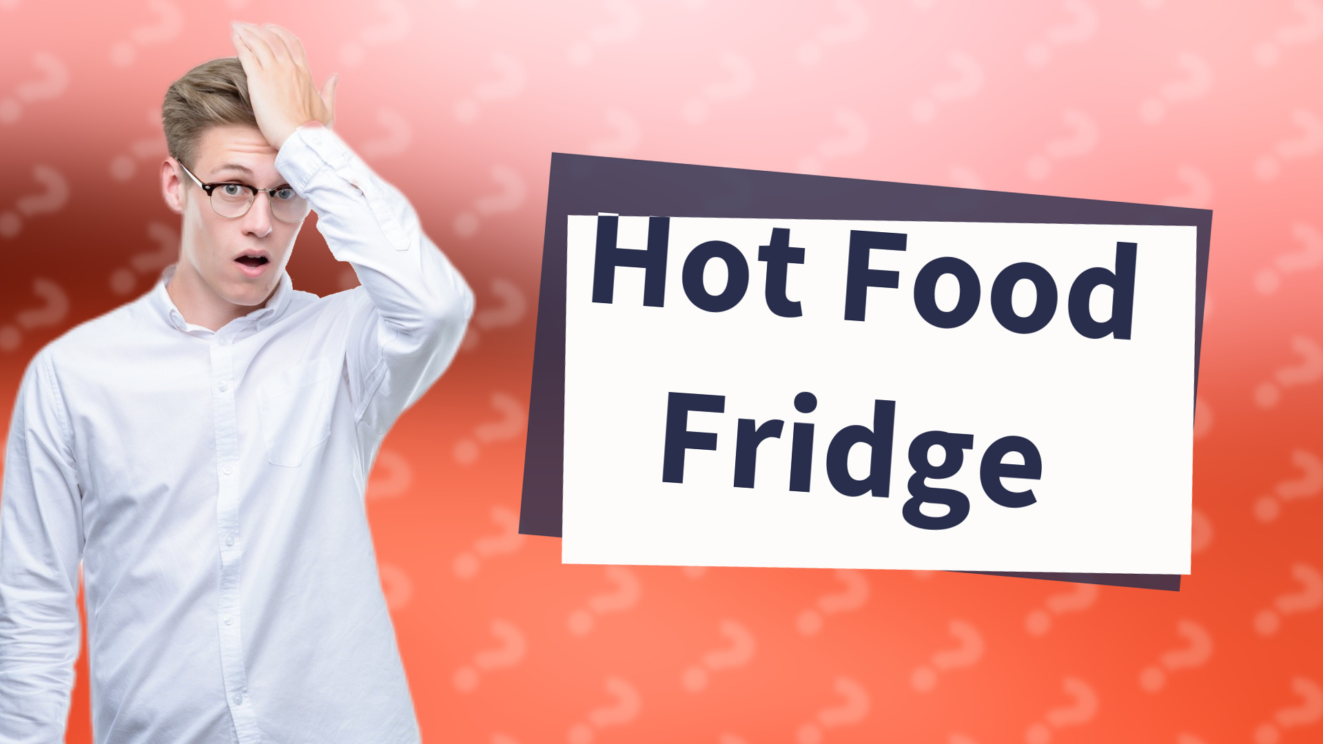 Hot Food Fridge