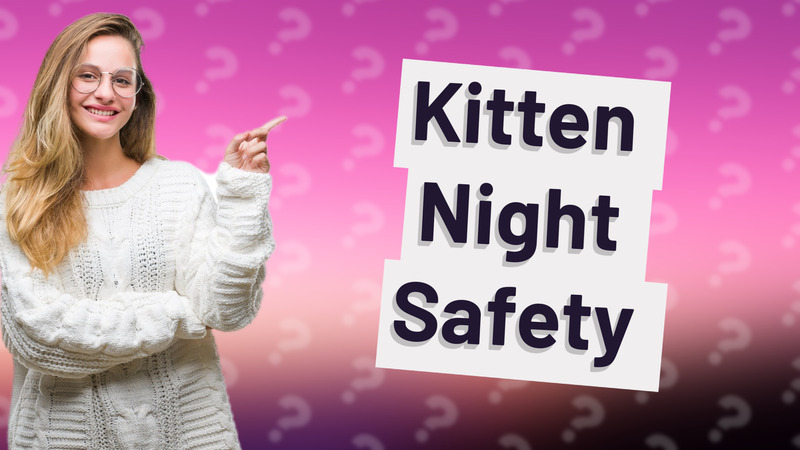 Kitten Night Safety