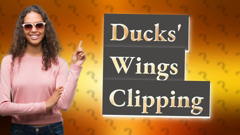 Ducks' Wings Clipping