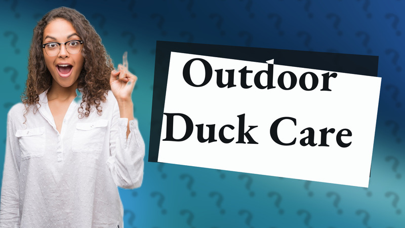 Outdoor Duck Care