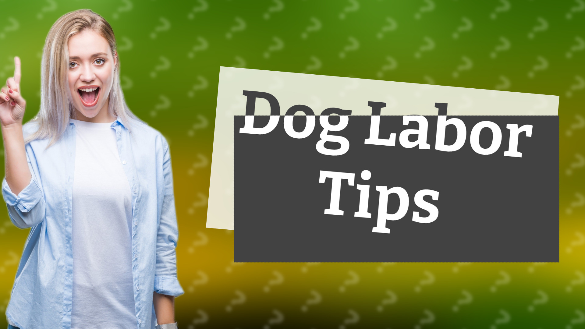 Dog Labor Tips