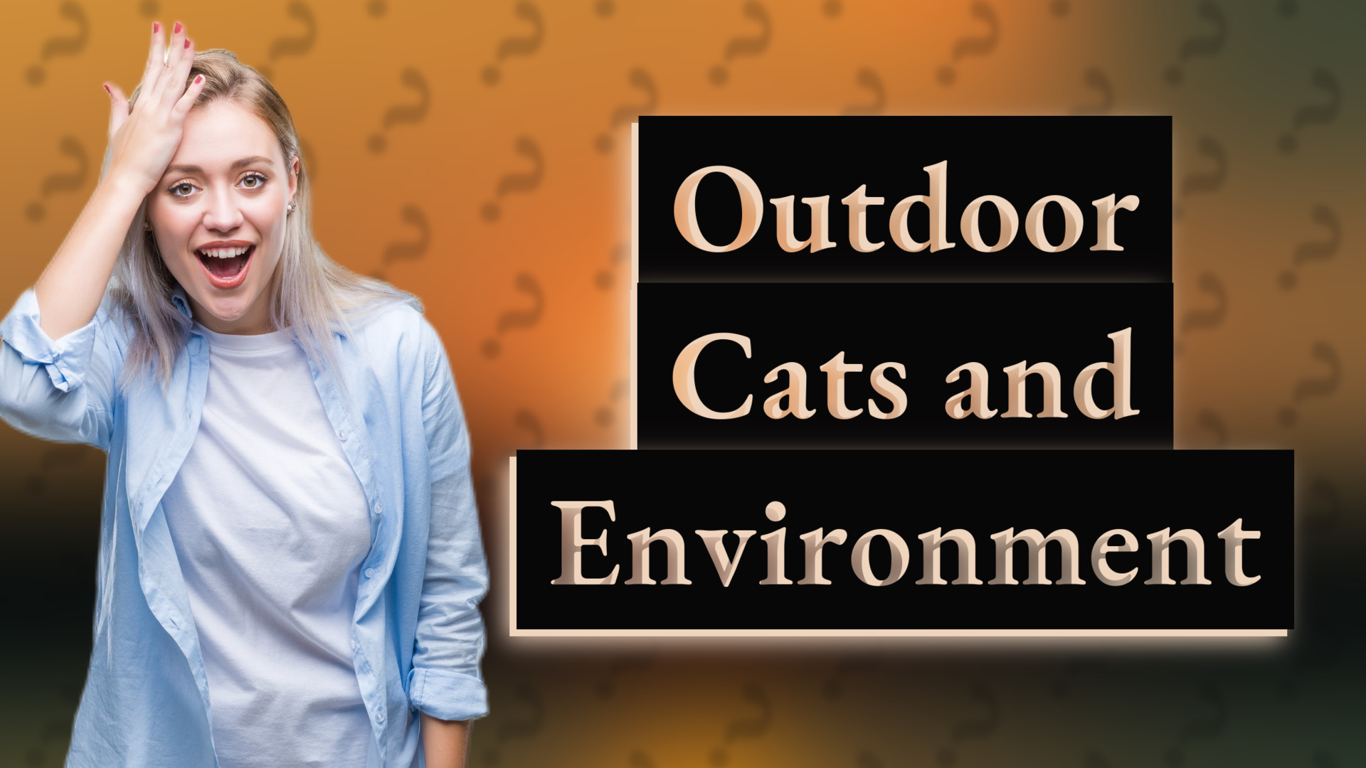Outdoor Cats and Environment