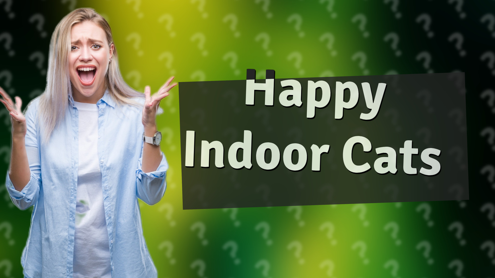 Happy Indoor Cats