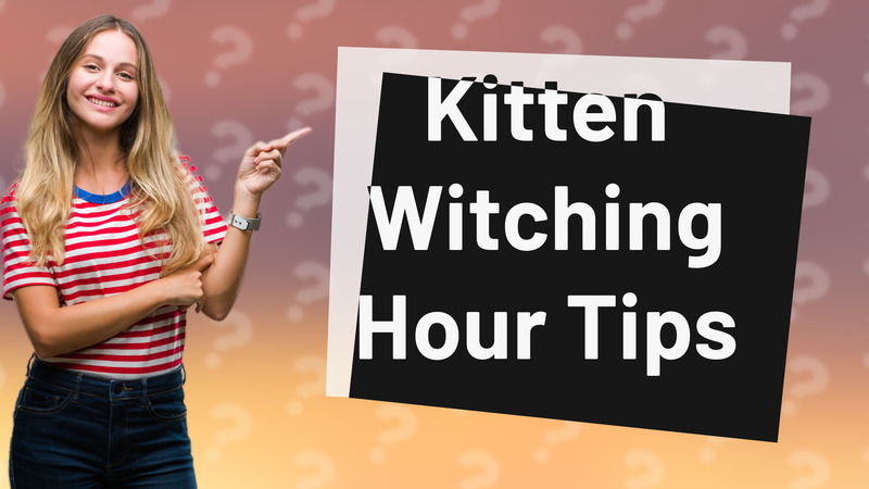 Kitten Witching Hour Tips