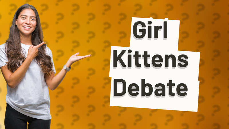 Girl Kittens Debate