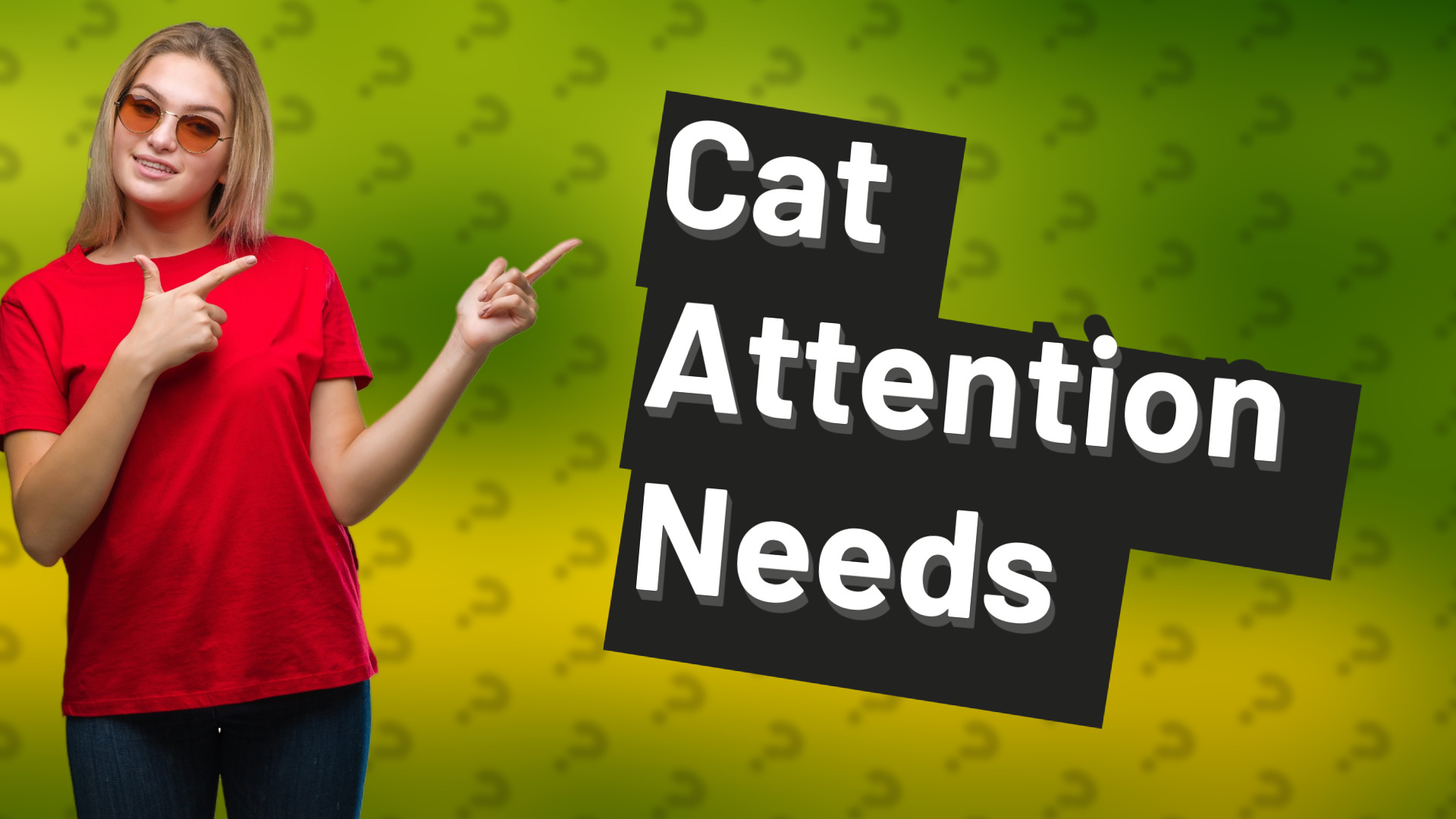 Cat Attention Needs