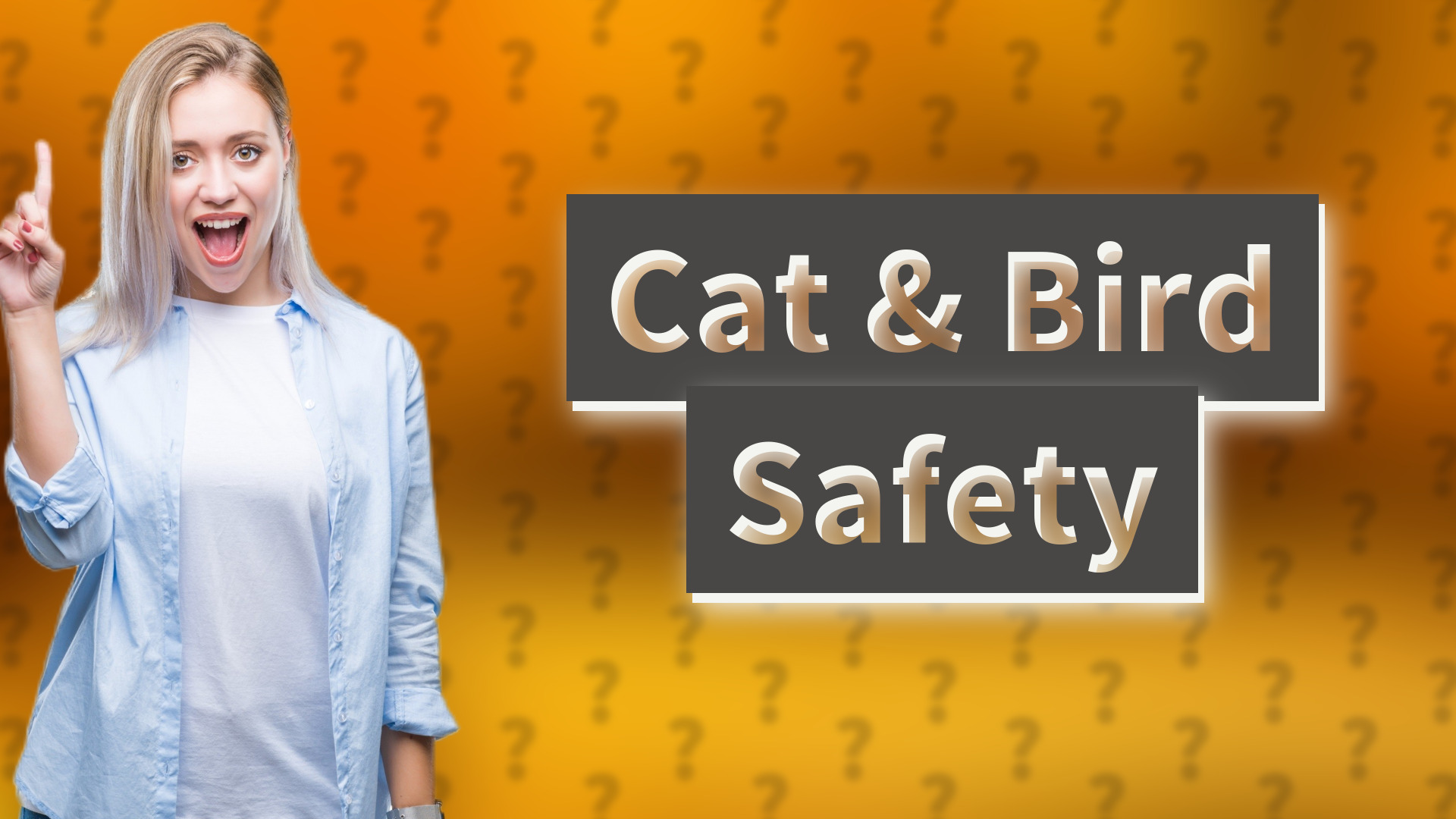 Cat & Bird Safety