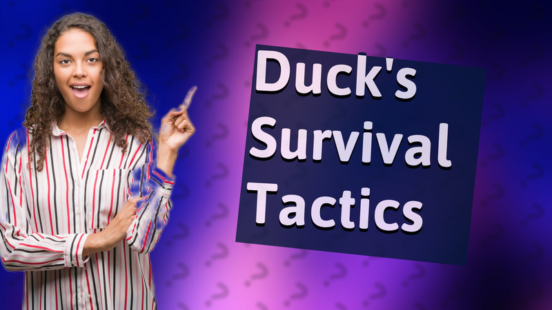 Duck's Survival Tactics