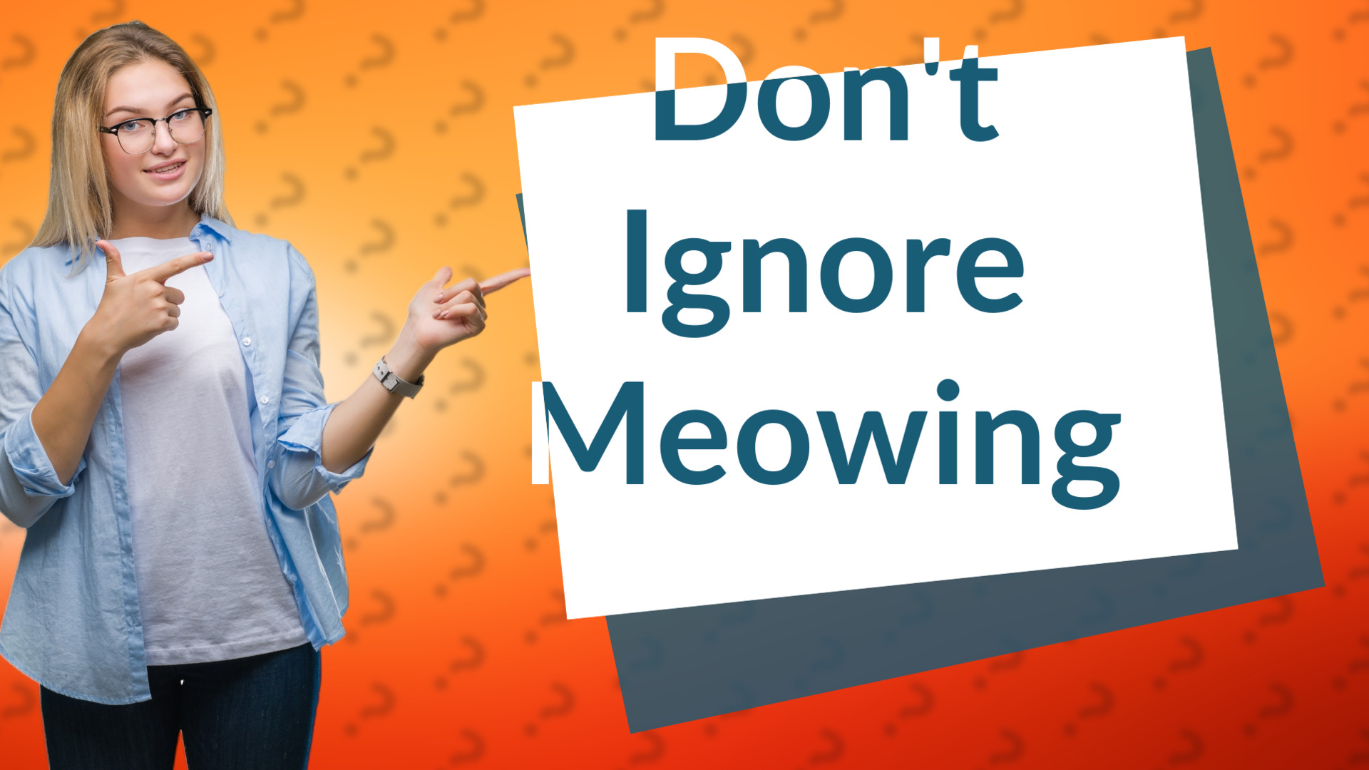 Don't Ignore Meowing