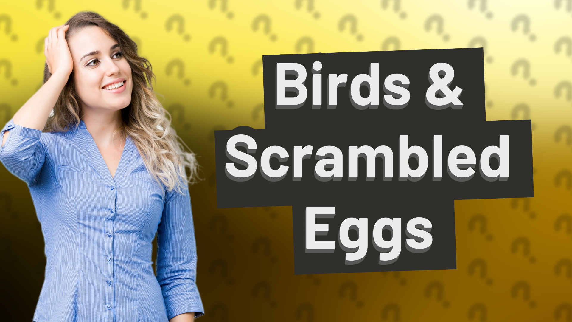 Birds & Scrambled Eggs