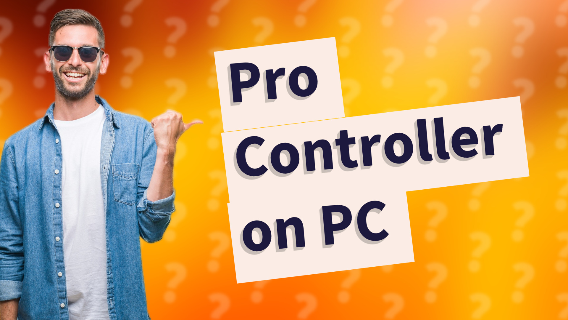 Pro Controller on PC