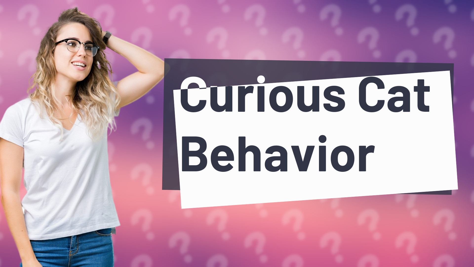Curious Cat Behavior