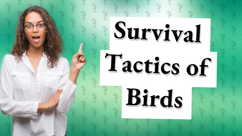 Survival Tactics of Birds