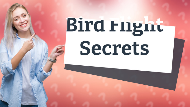 Bird Flight Secrets
