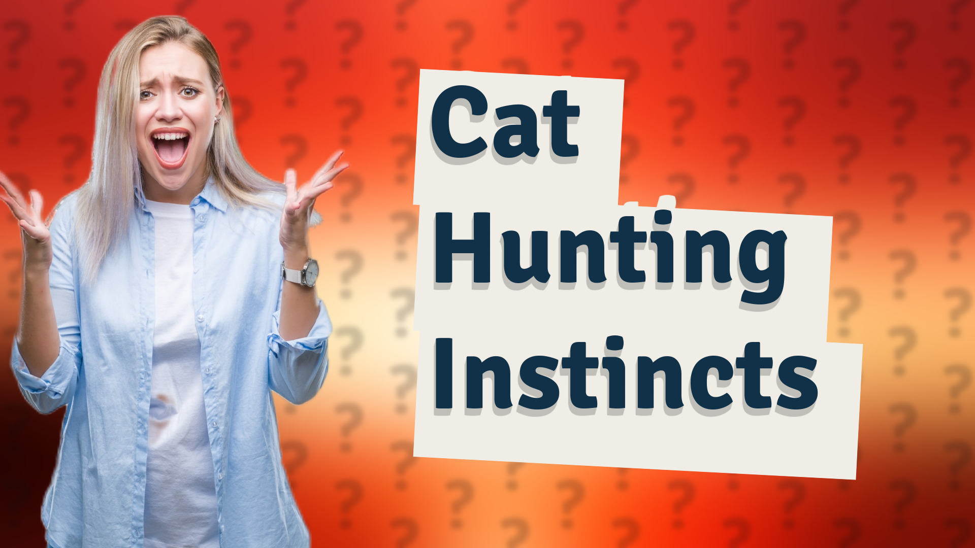 Cat Hunting Instincts