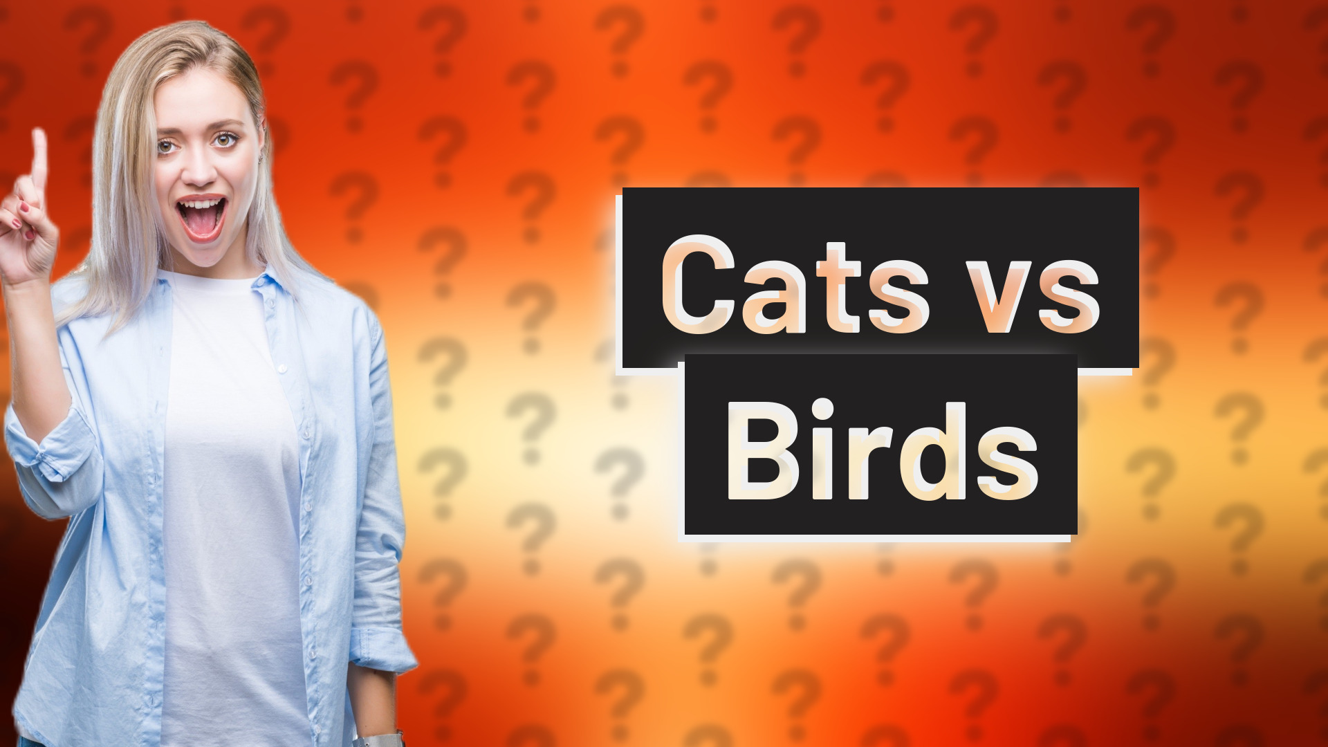 Cats vs Birds