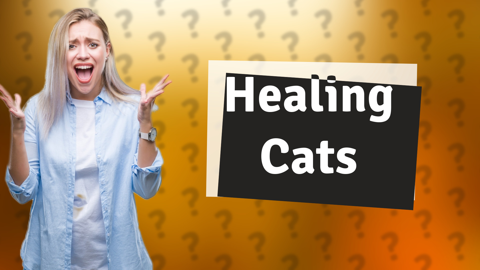 Healing Cats