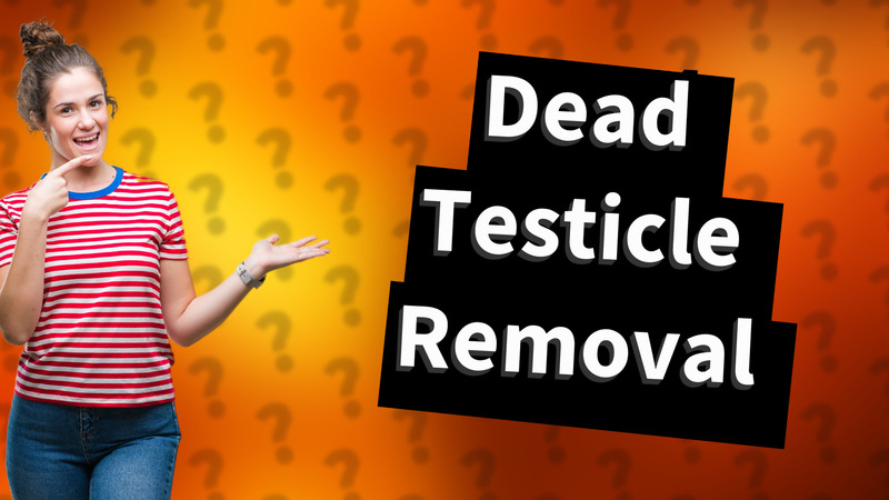 Dead Testicle Removal